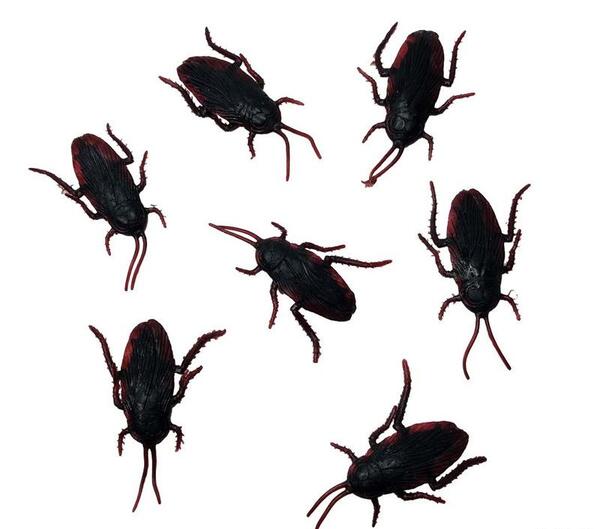 عکس سوسک پلاستیکی
