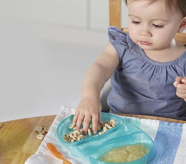 عکس ظرف تغذیه