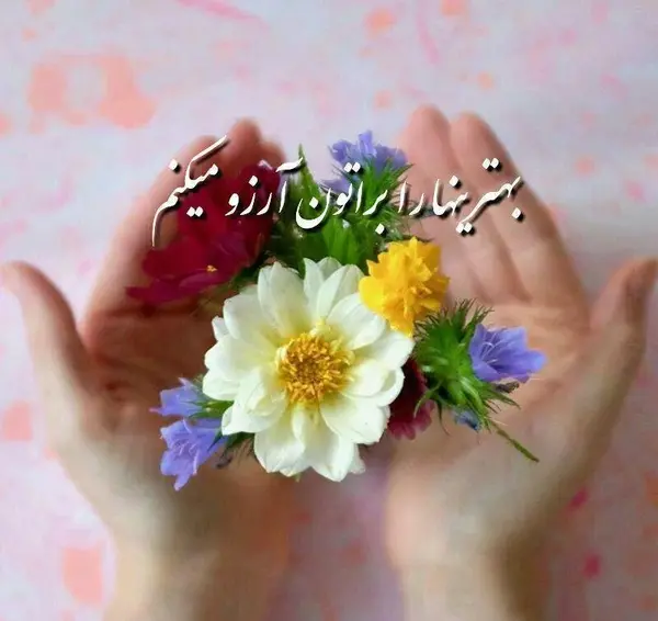 عکس و نوشته روز بخیر