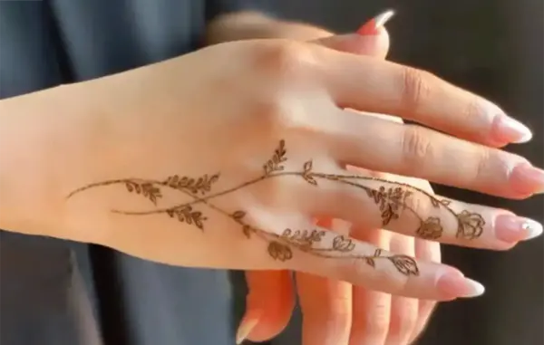عکس حنا روی دست اسان