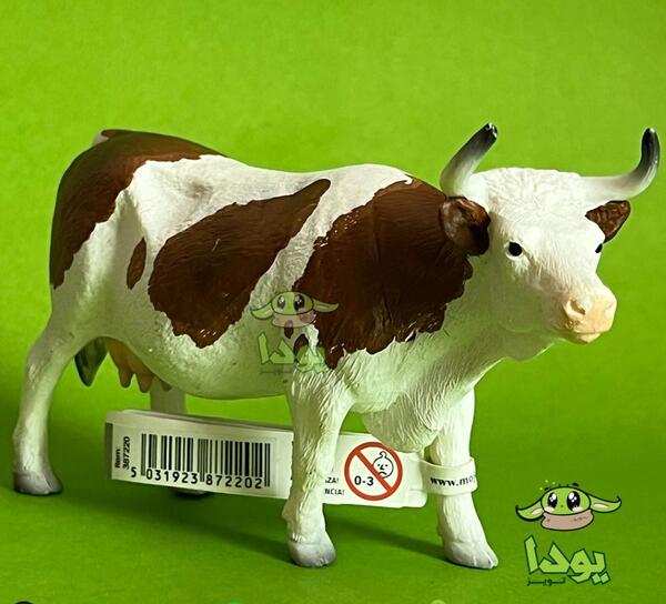 عکس گاو فان