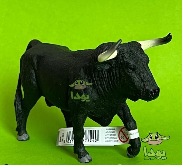 عکس گاو فان