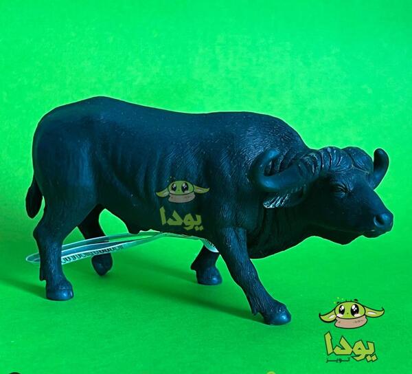 عکس گاو فان