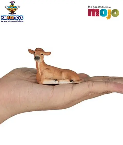 عکس گاو فان