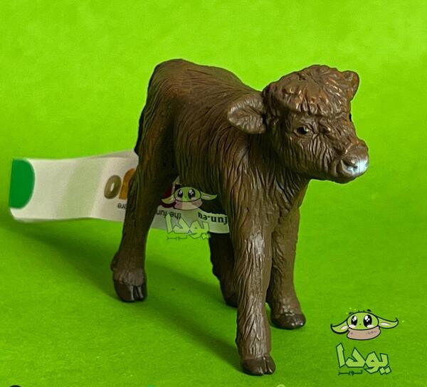 عکس گاو فان