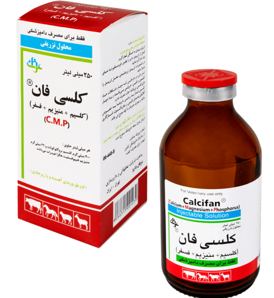 عکس گاو فان