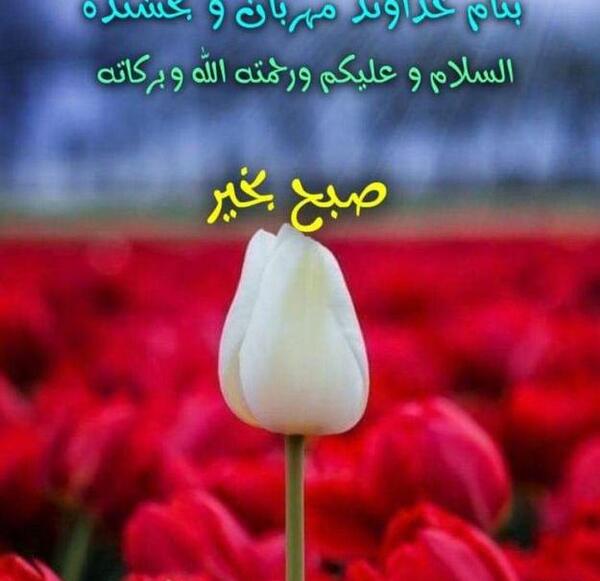 عکس نوشته جدید سلام صبح بخیر