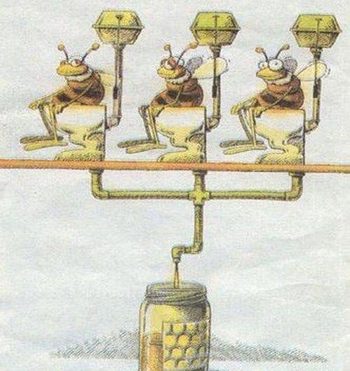 عکس نوشته جوک ترکی