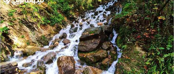 عکسهای آب پری