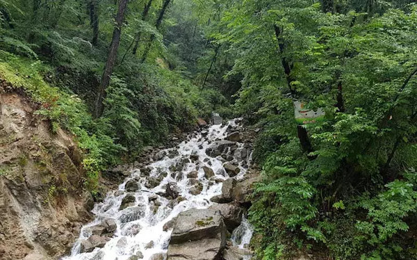 عکسهای آب پری