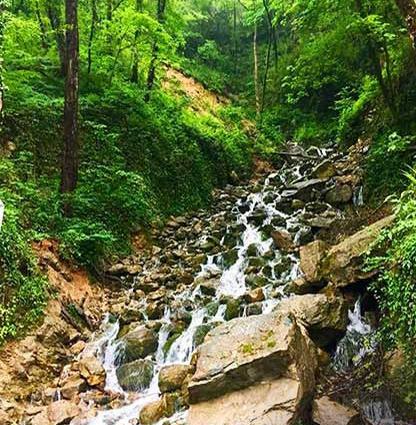 عکسهای آب پری