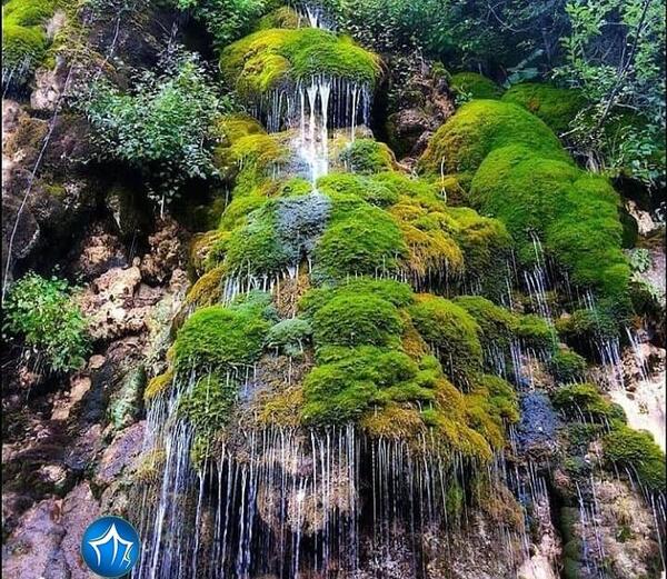 عکسهای آب پری