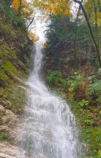 عکسهای آب پری