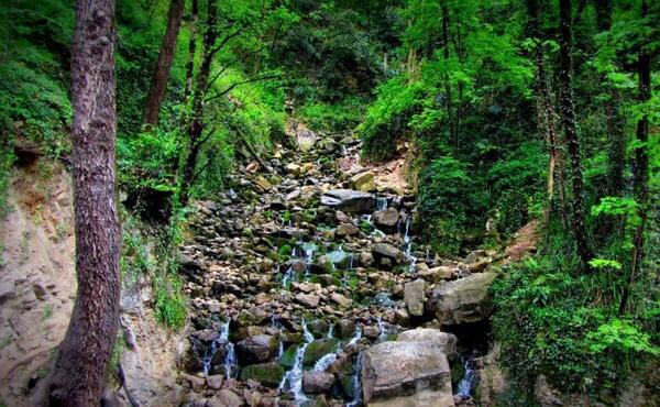 عکسهای آب پری