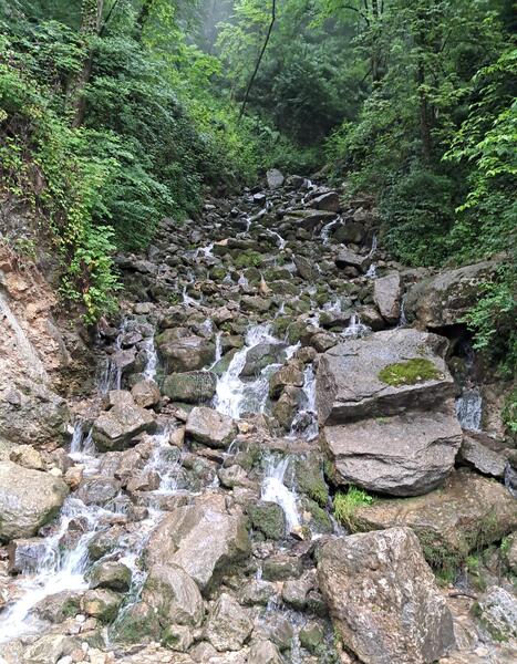 عکسهای آب پری