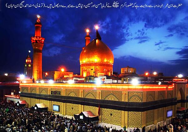 عکس حرم امام حسین قشنگ