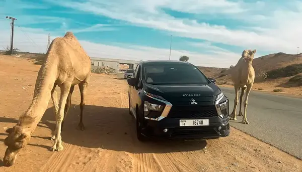عکس کویر فانتزی
