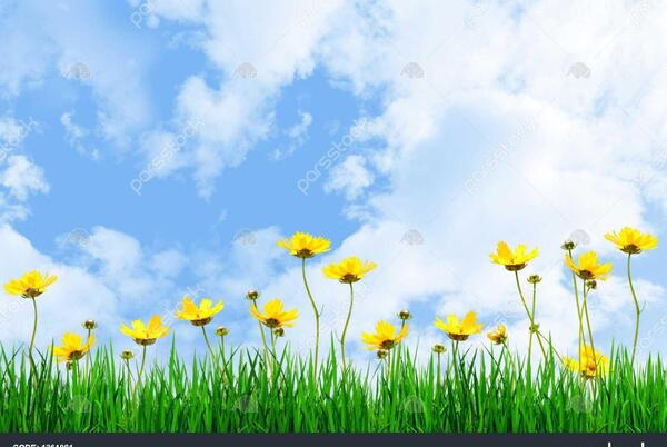 عکس نقاشی چمن