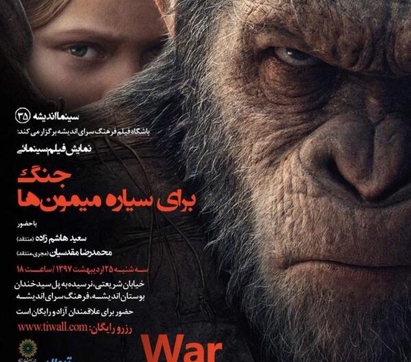 عکس میمون فیلم میمون
