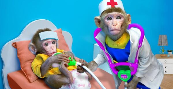 عکس میمون فیلم میمون