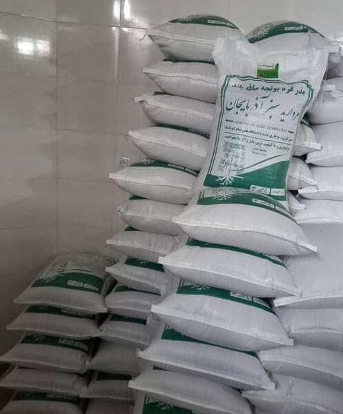 عکس محمد بوجاری همدان