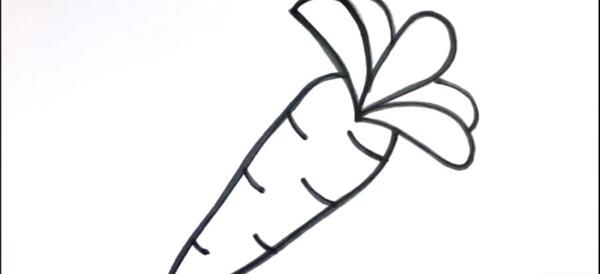 عکس نقاشی هویج ساده
