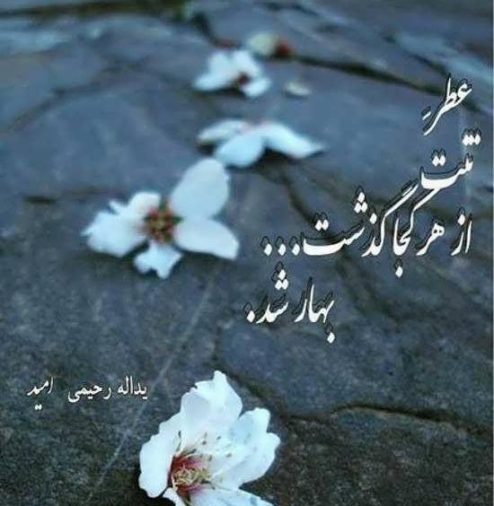 عکس پروفایل واتساپ بهاری عاشقانه