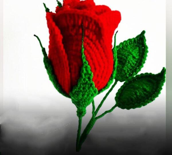 عکس بافت گل رز