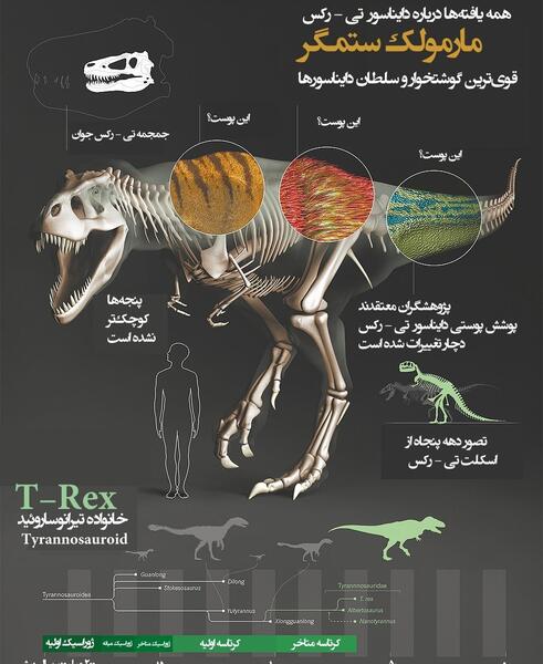 عکس ردپای تیرکس