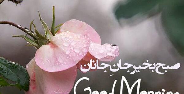 عکس نوشته سلام صبح بخیر به انگلیسی