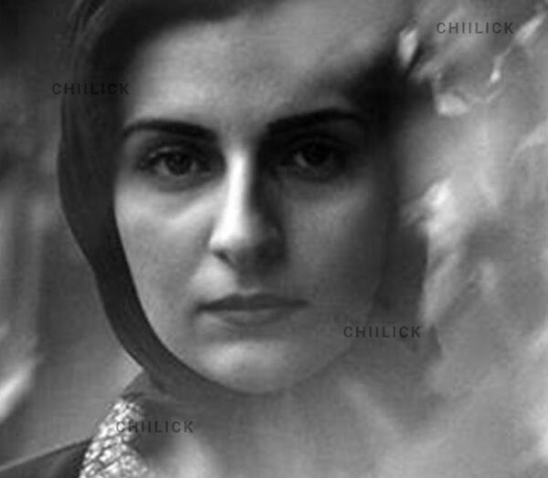 نمایشگاه عکس شادی قدیریان
