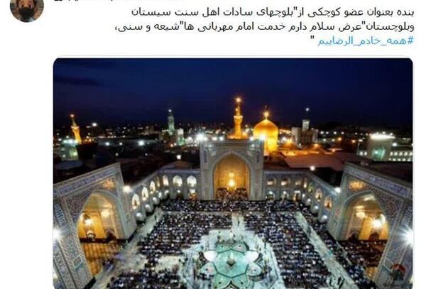 عکس تار عنکبوت حرم امام رضا