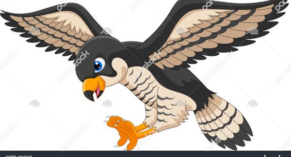 عکس عقاب نقاشی کودکان