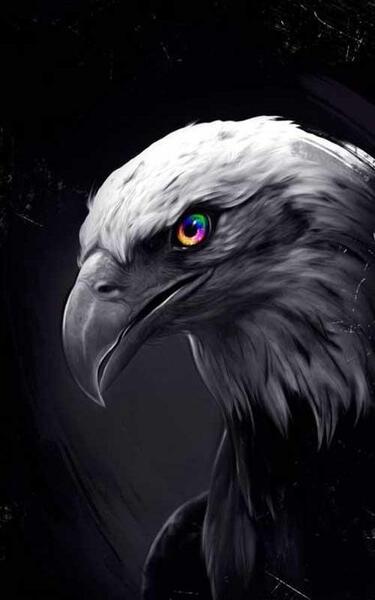 عکس عقاب نقاشی کودکان