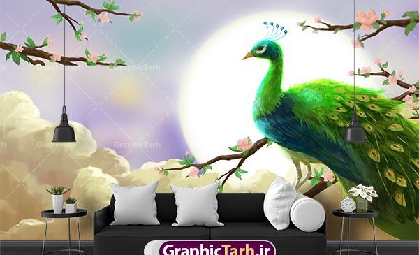 عکس طاووس کاغذی