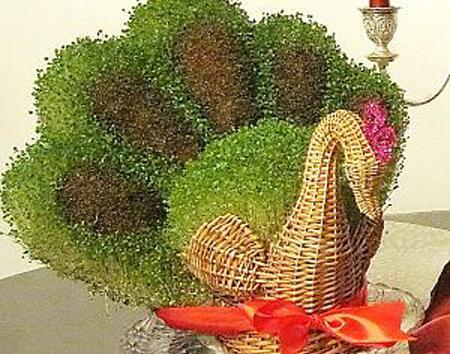عکس طاووس کاغذی