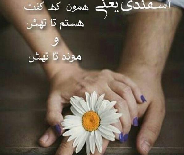 عکس اسفند ماهی خاص