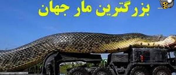 عکس های مار
