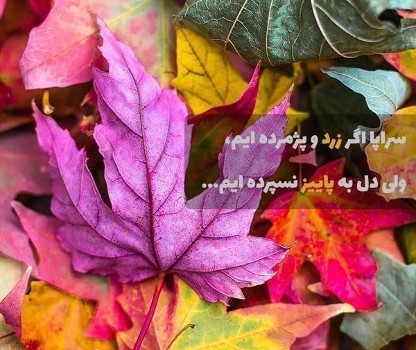 عکس نوشته پاییز و خدا