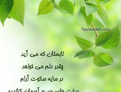 عکس ظهر تابستانی