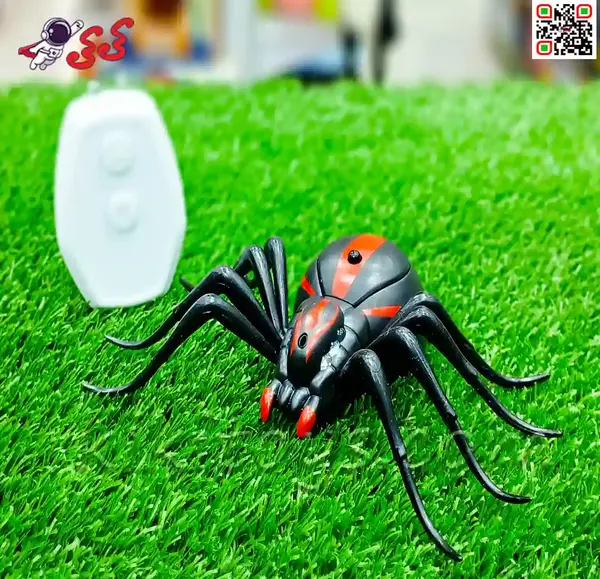 عکس عنکبوت معمولی