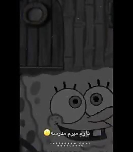 عکس باب اسفنجی و پاتریک تاو بیو