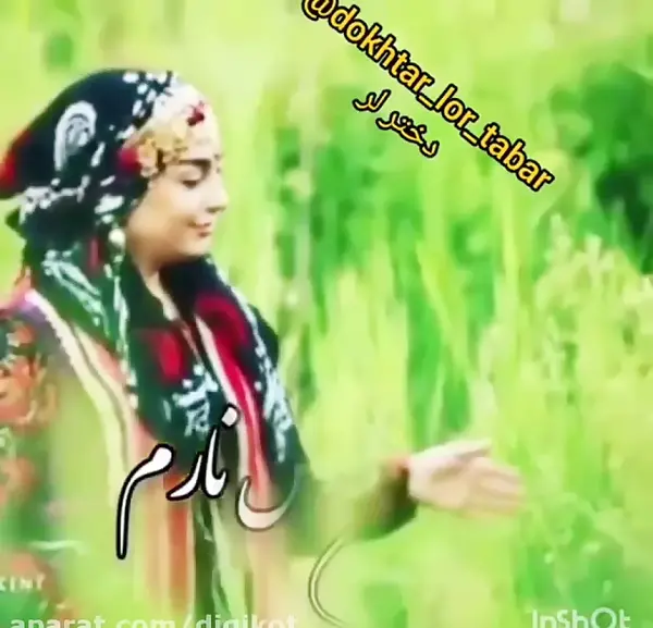 عکس طنز لری برای پروفایل