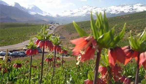 عکس سیاه چادر قشقایی