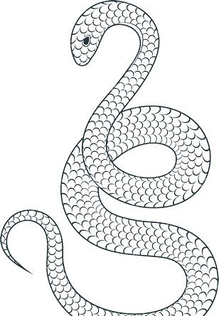 عکس مار سیاه و سفید