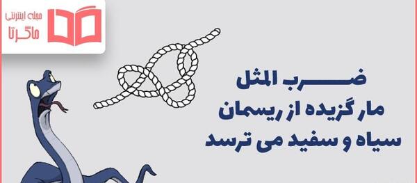عکس مار سیاه و سفید
