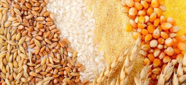 عکس ذرت تایلندی