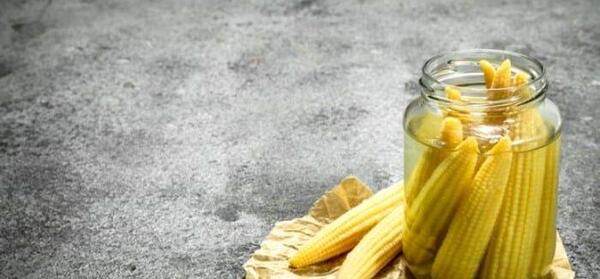 عکس ذرت تایلندی