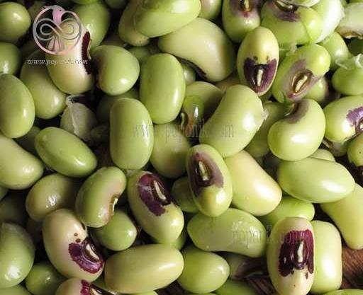 عکس سبزه لوبیا چشم بلبلی