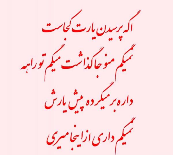 عکس ثنا برزنجه